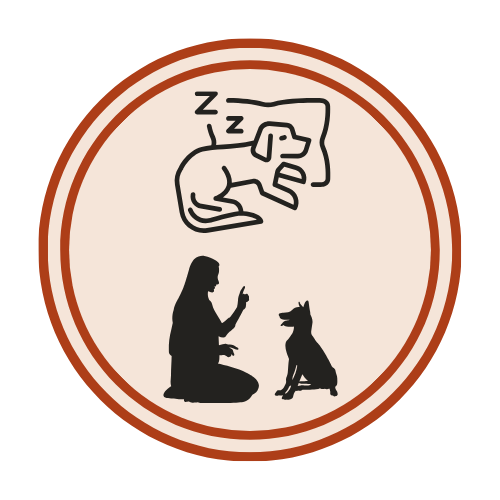 Lodge & Learn: 2 Weeks