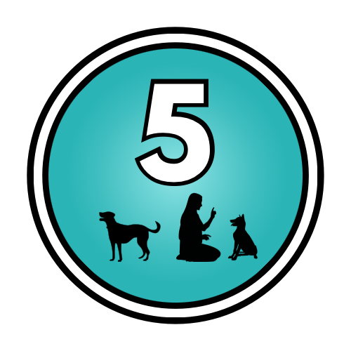 5-Day “Smart Pup Pass”