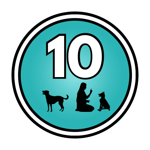 10-Day “Training Trek”