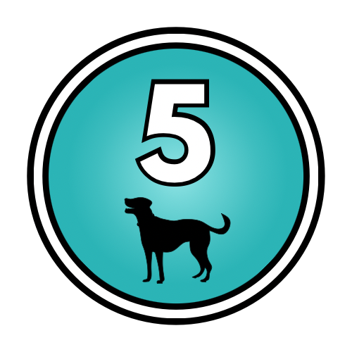 5-Day “Pup Classes”